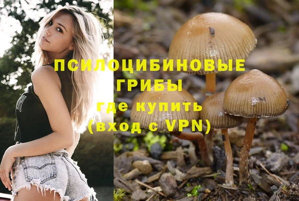 альфа пвп Беломорск