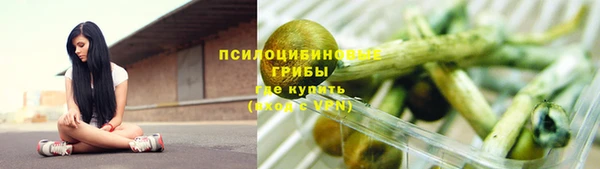 альфа пвп Беломорск