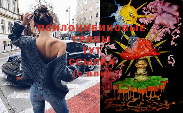 метамфетамин Белокуриха