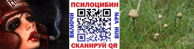 блэк спрут зеркало  Славгород  Псилоцибиновые грибы GOLDEN TEACHER 